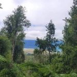 Gran Oportunidad de Inversión